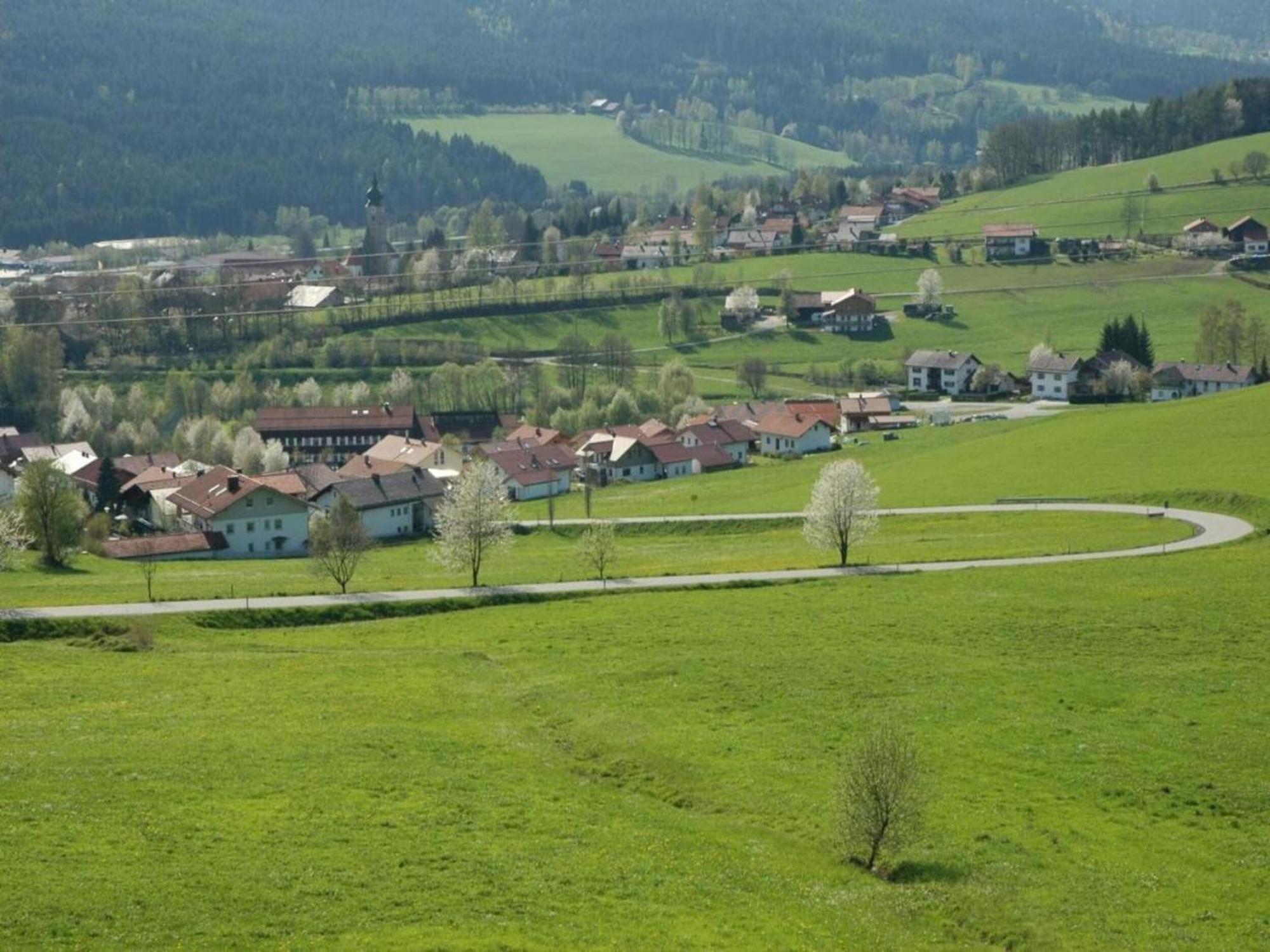 Apartment In The Bavarian Forest With Balcony Drachselsried Eksteriør billede
